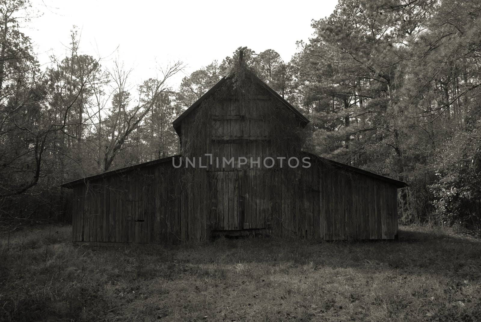 Old Barn by northwoodsphoto