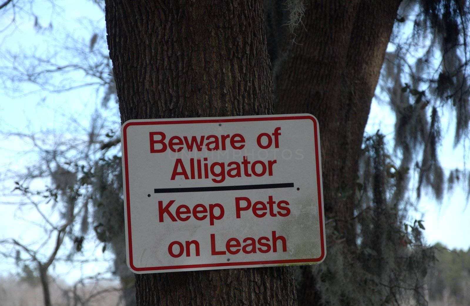 An old alligator warning sign about pets.