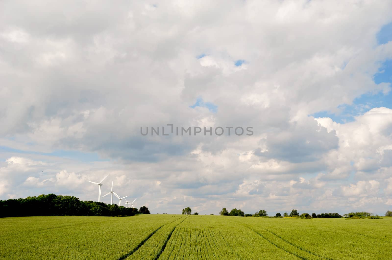 Landscape and wind turbines by cfoto