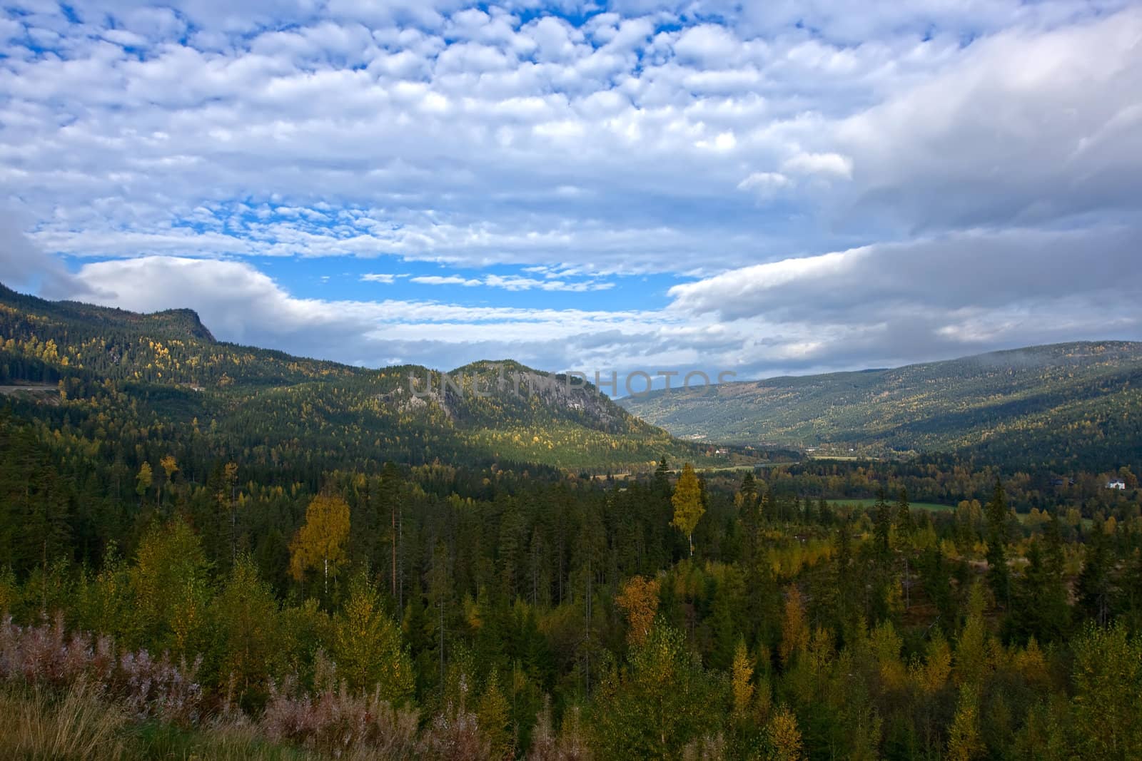 North Norway landscape
