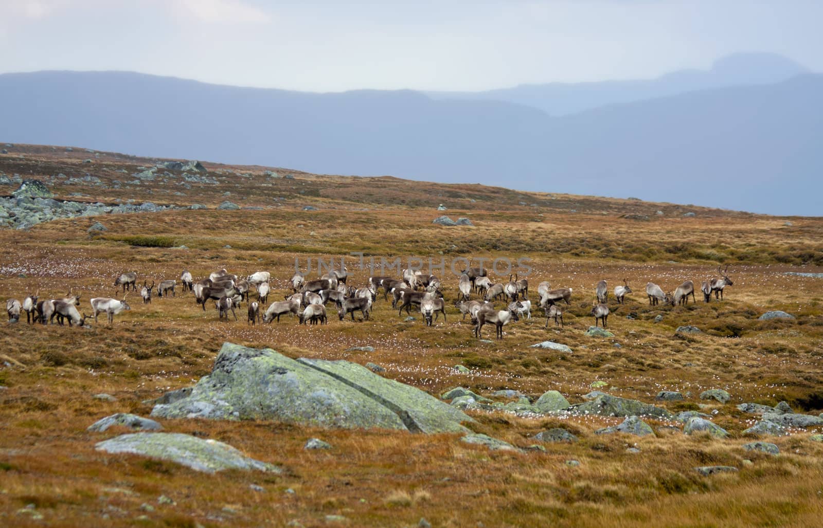 North Norway landscape