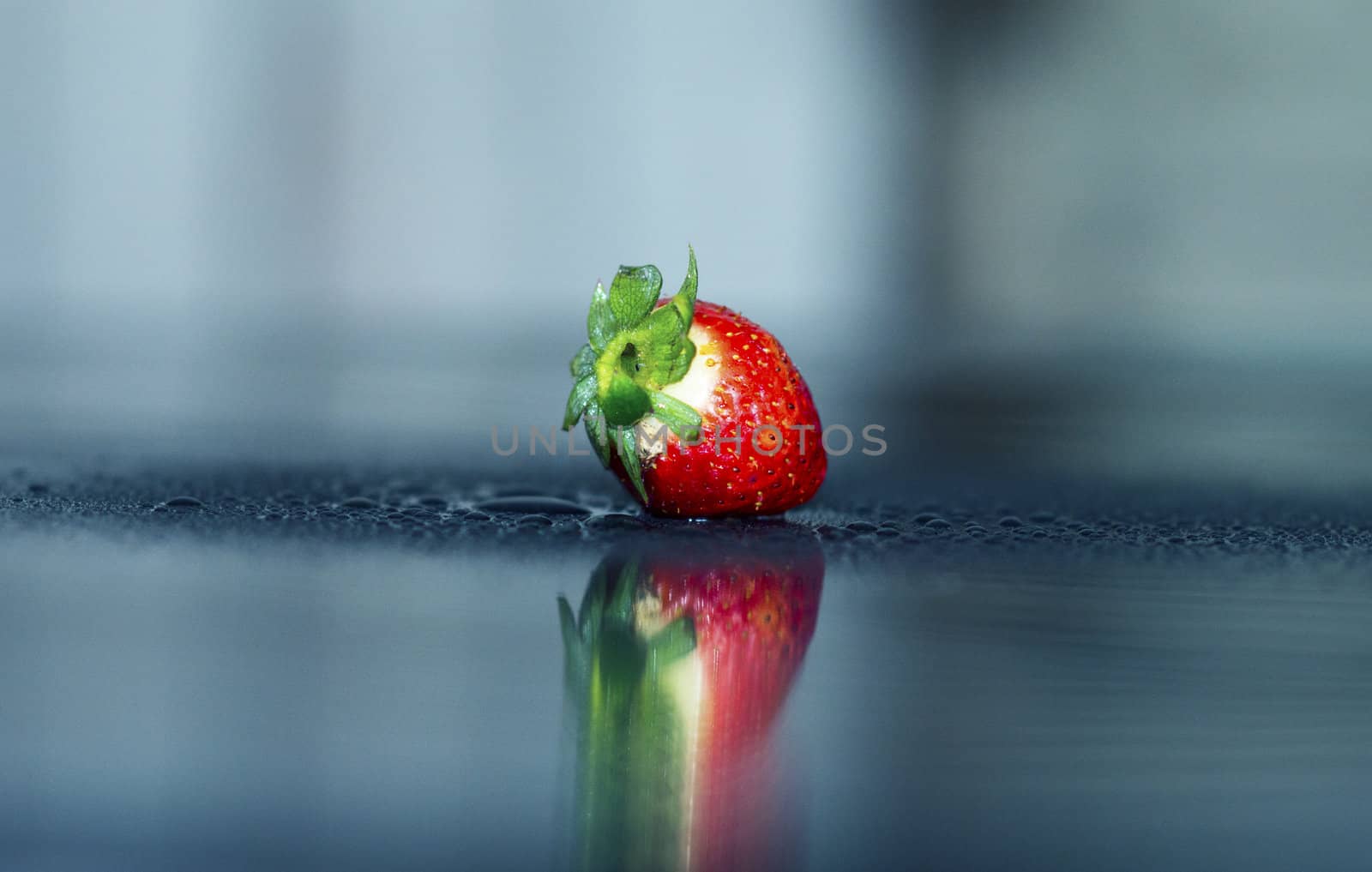 one red fresh strawberry by Avialle