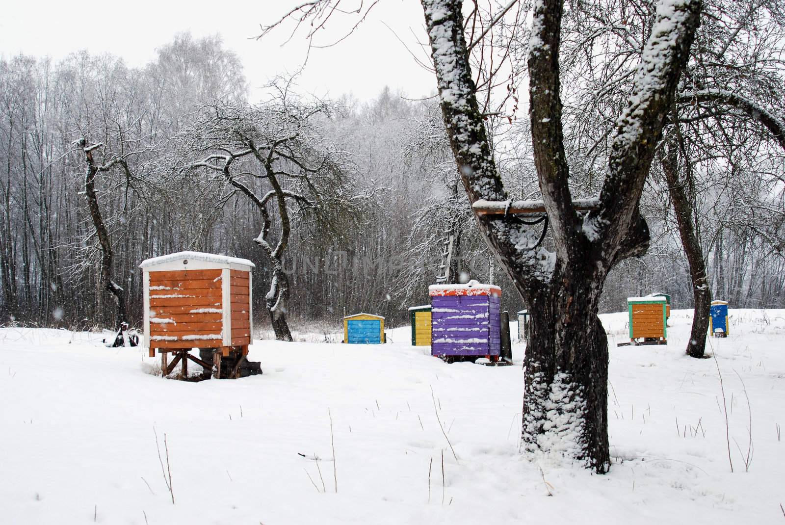 Hives cover snow. Colorful bee house between winter apple trees.