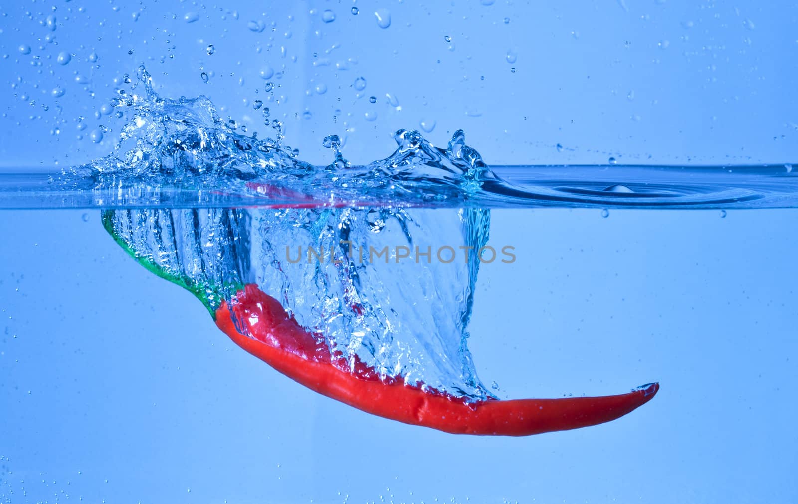 red pepper dropped into water with splash on blue