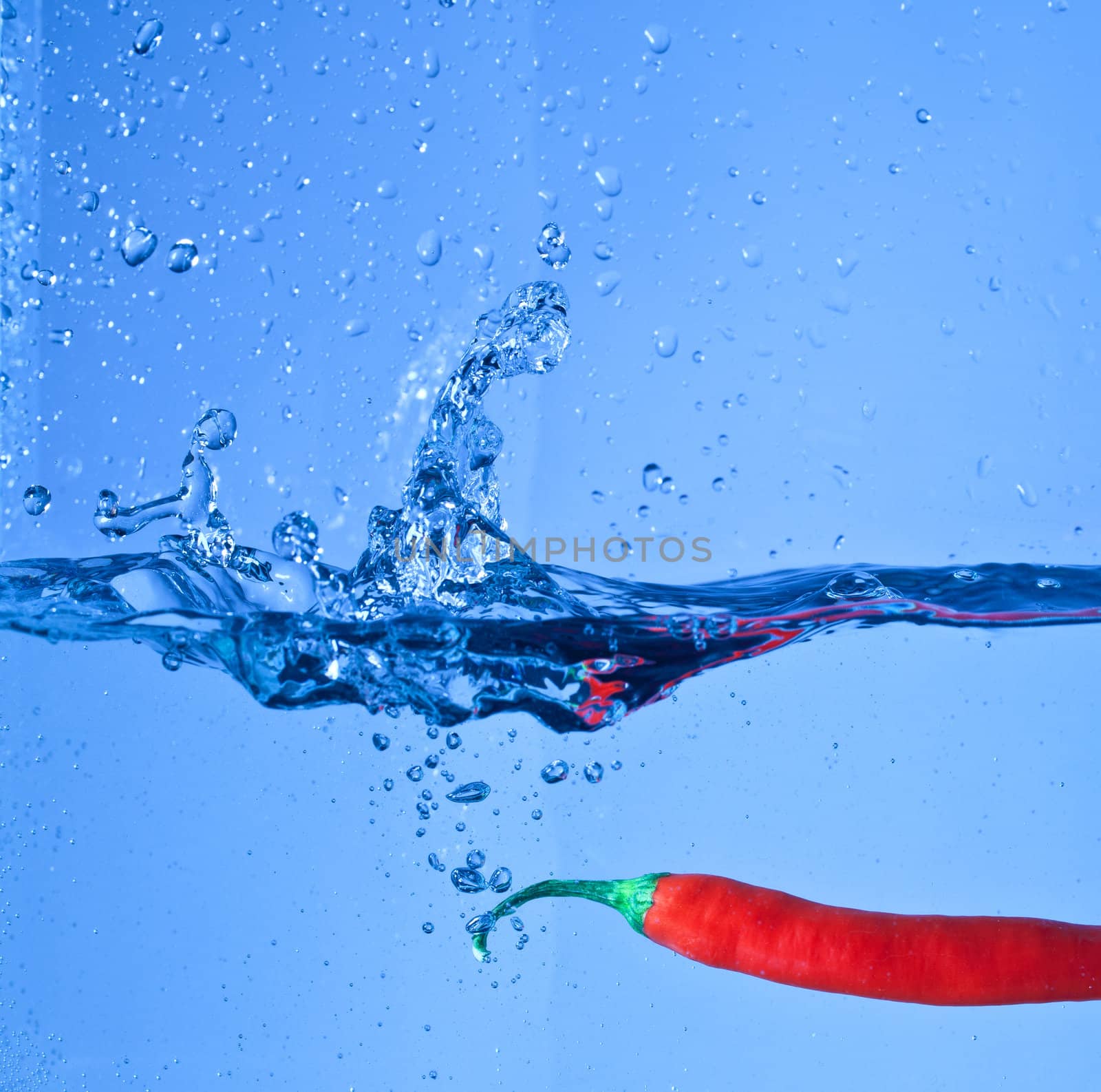 red pepper dropped into water with splash on blue