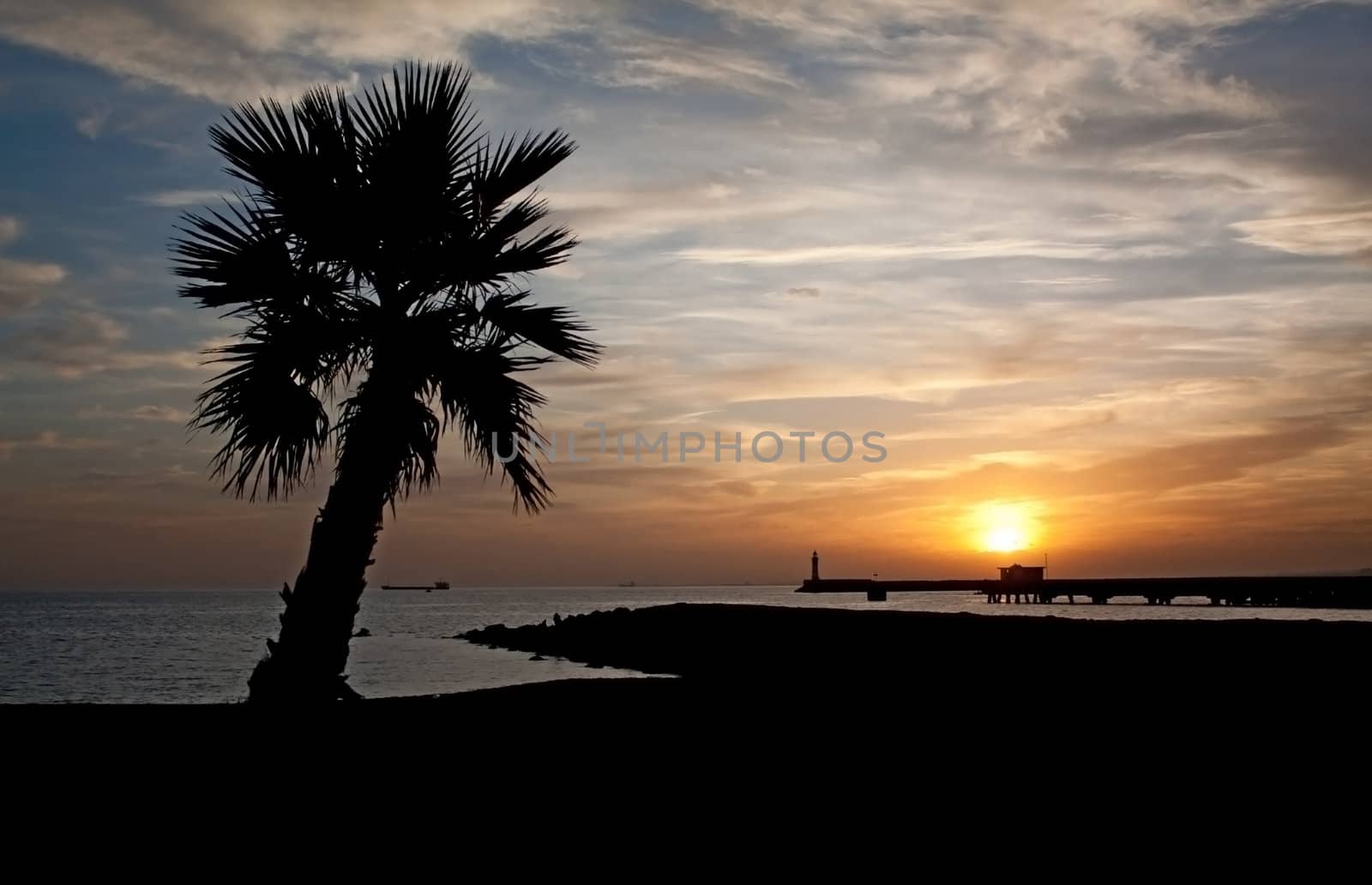 Sunset in Almeria (south-east coast of Spain) with the silhouette of a palmtree in the foreground and of a lighthouse in the background.