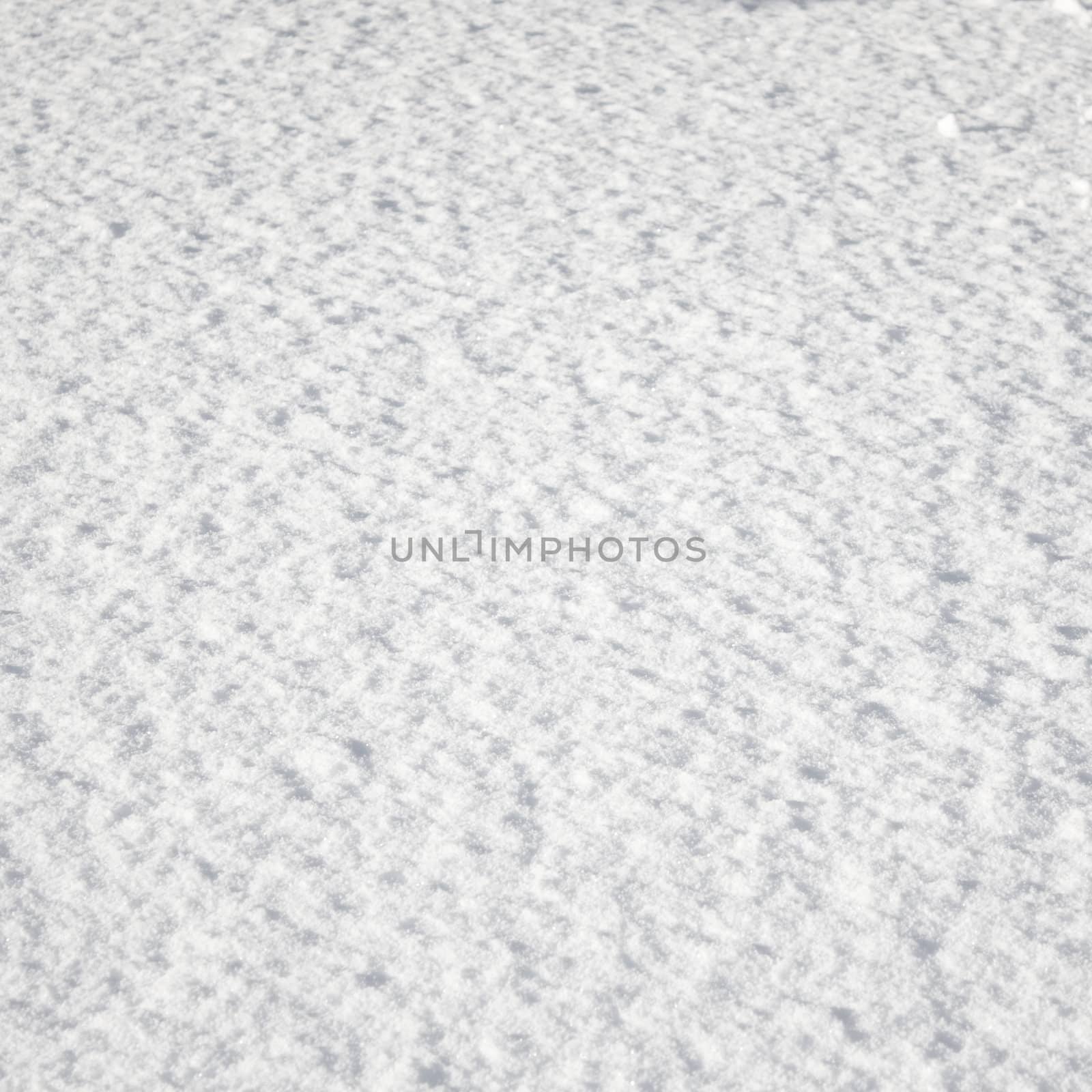 Square picture of snow, suitable as background.