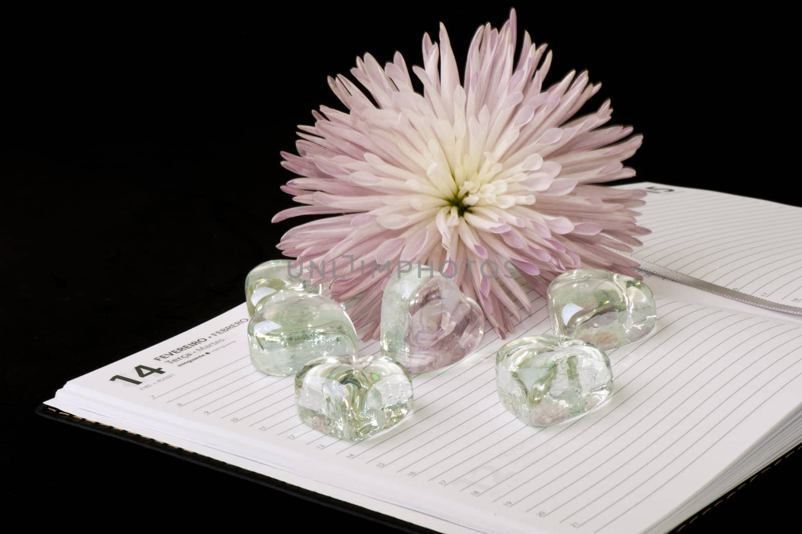 Crystal Hearts, calendar and flower on black background