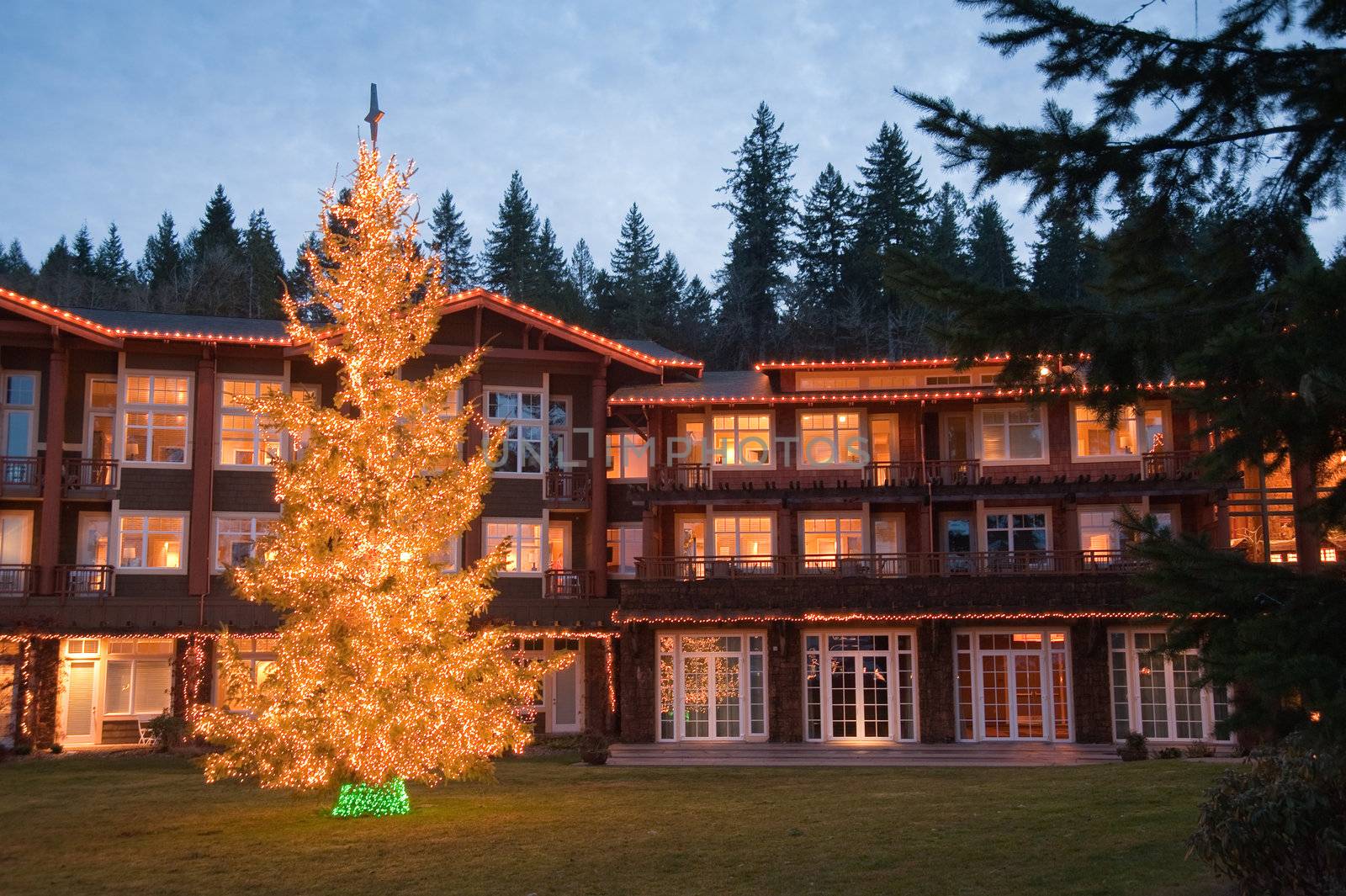 Hotel exterior and Christmas tree