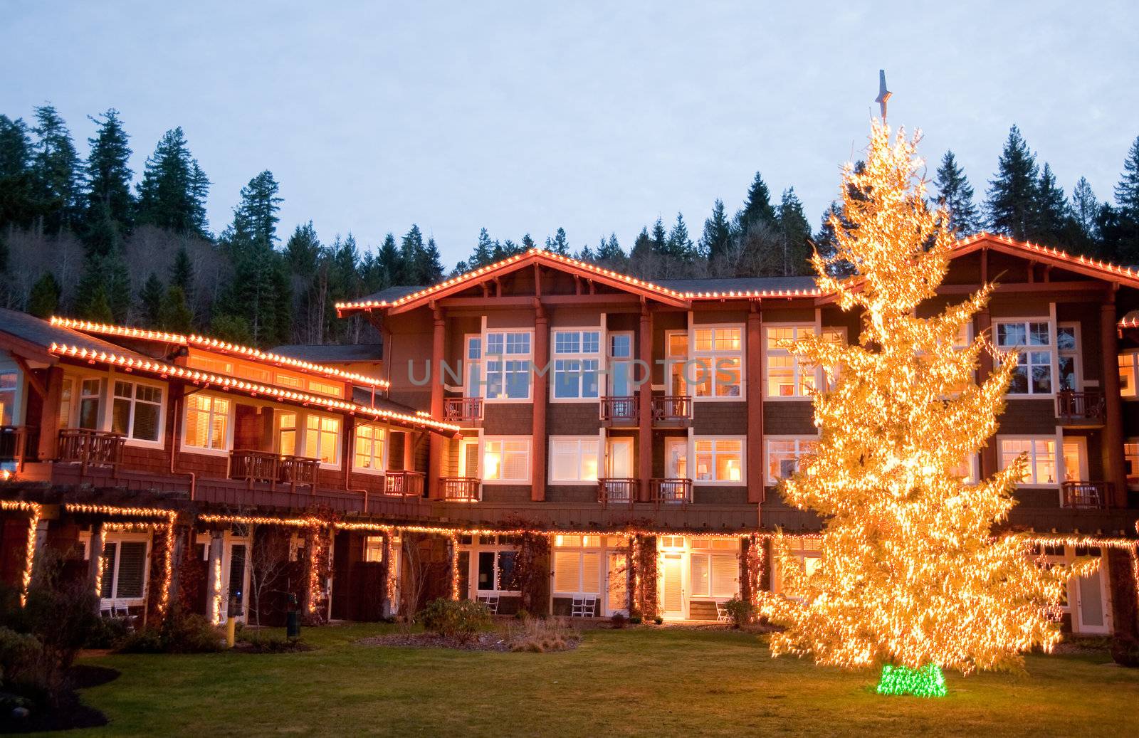 Hotel exterior and Christmas tree