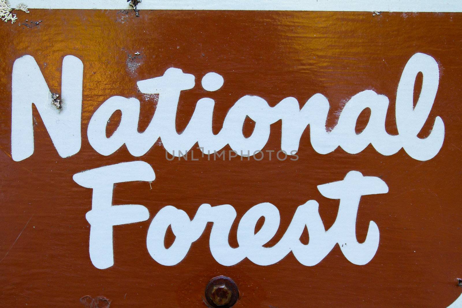 A brown sign with white letters reads National Forest somewhere in the wilderness in Oregon.