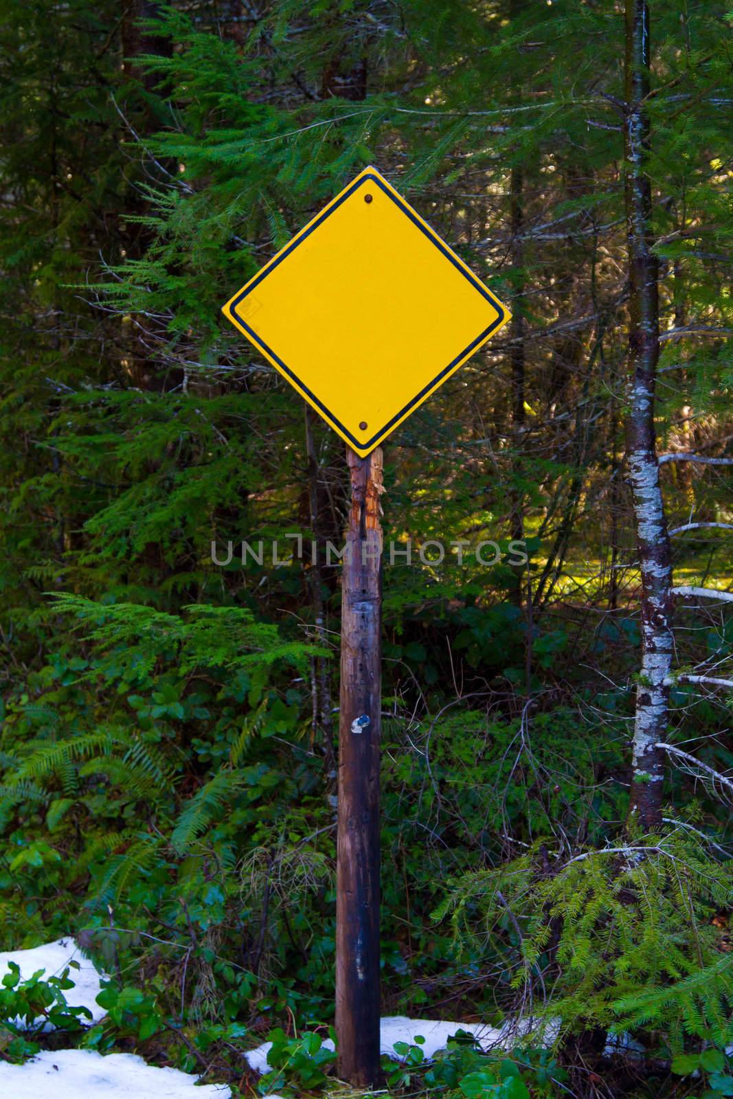 A yellow caution sign has no letters on it and is ready for the text of a designer. This is a typical road sign diamond shape in the woods.