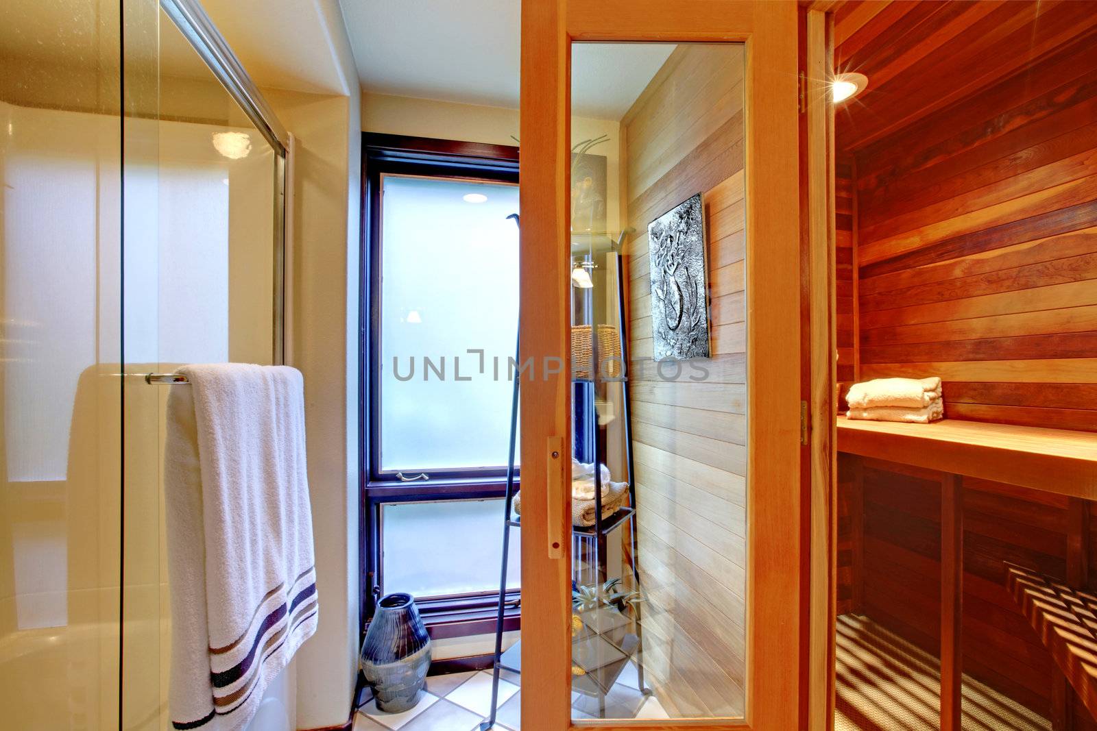 Home sauna interior with shower and window.