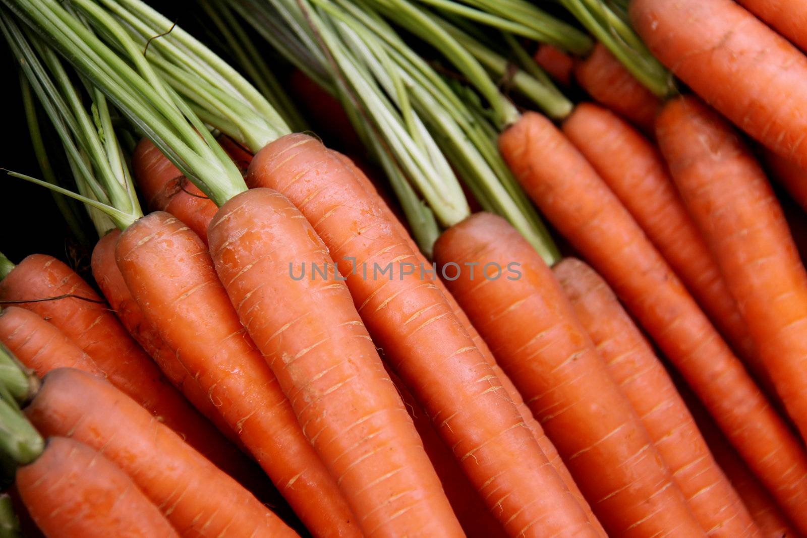 carrots