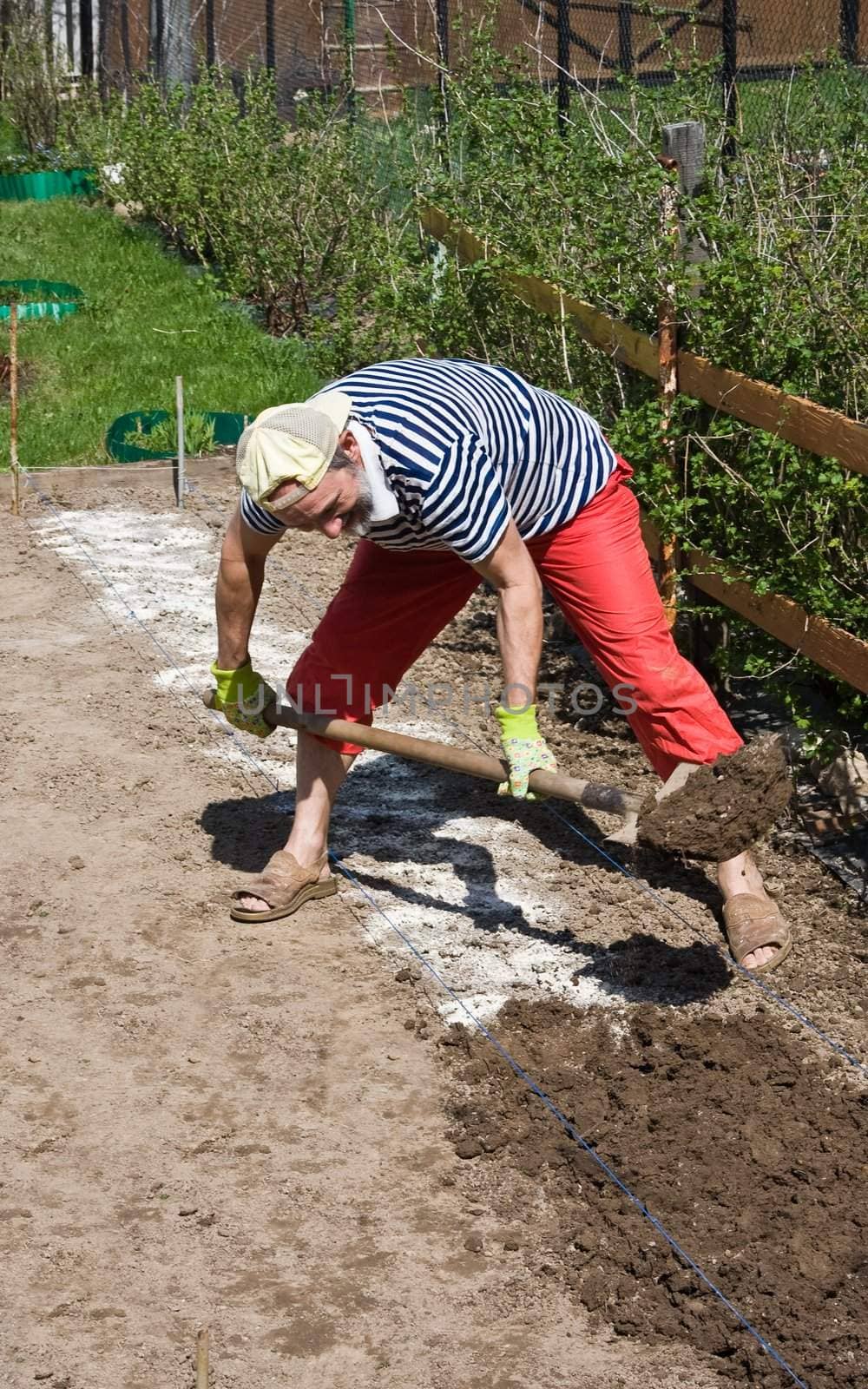 Spring works in the garden