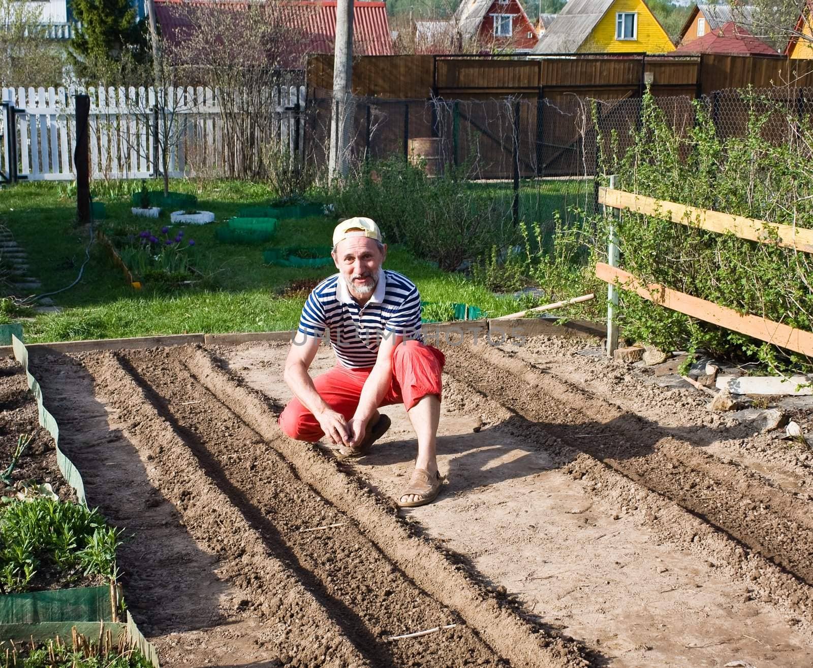 Spring works in the garden. Sowing vegetable crops by nikolpetr