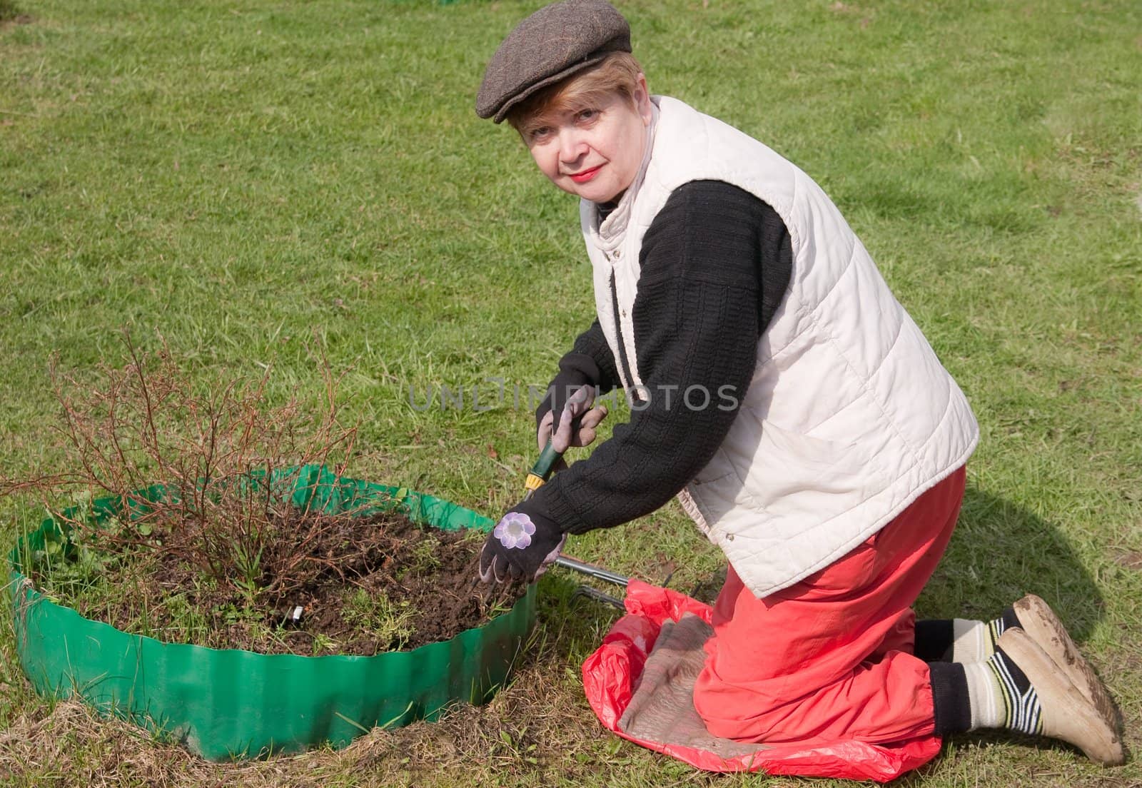 Treatment of seedlings in the spring to summer cottage by nikolpetr