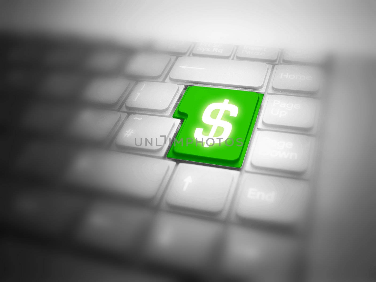 Green dollar button. Internet shopping conceptual image