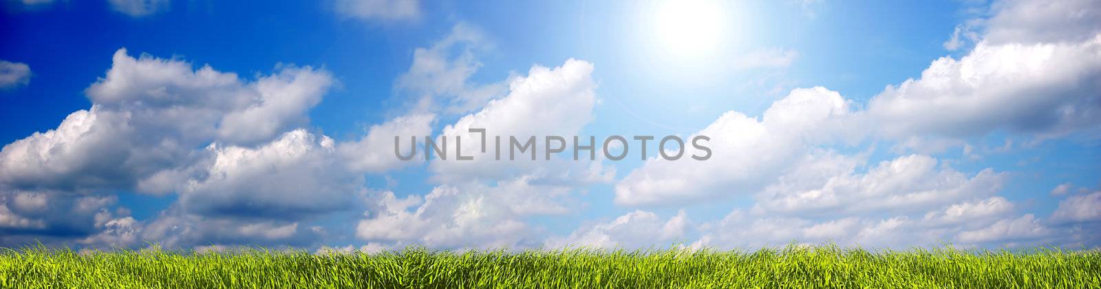 Fresh, clean summer landscape panorama. Ideal as a background