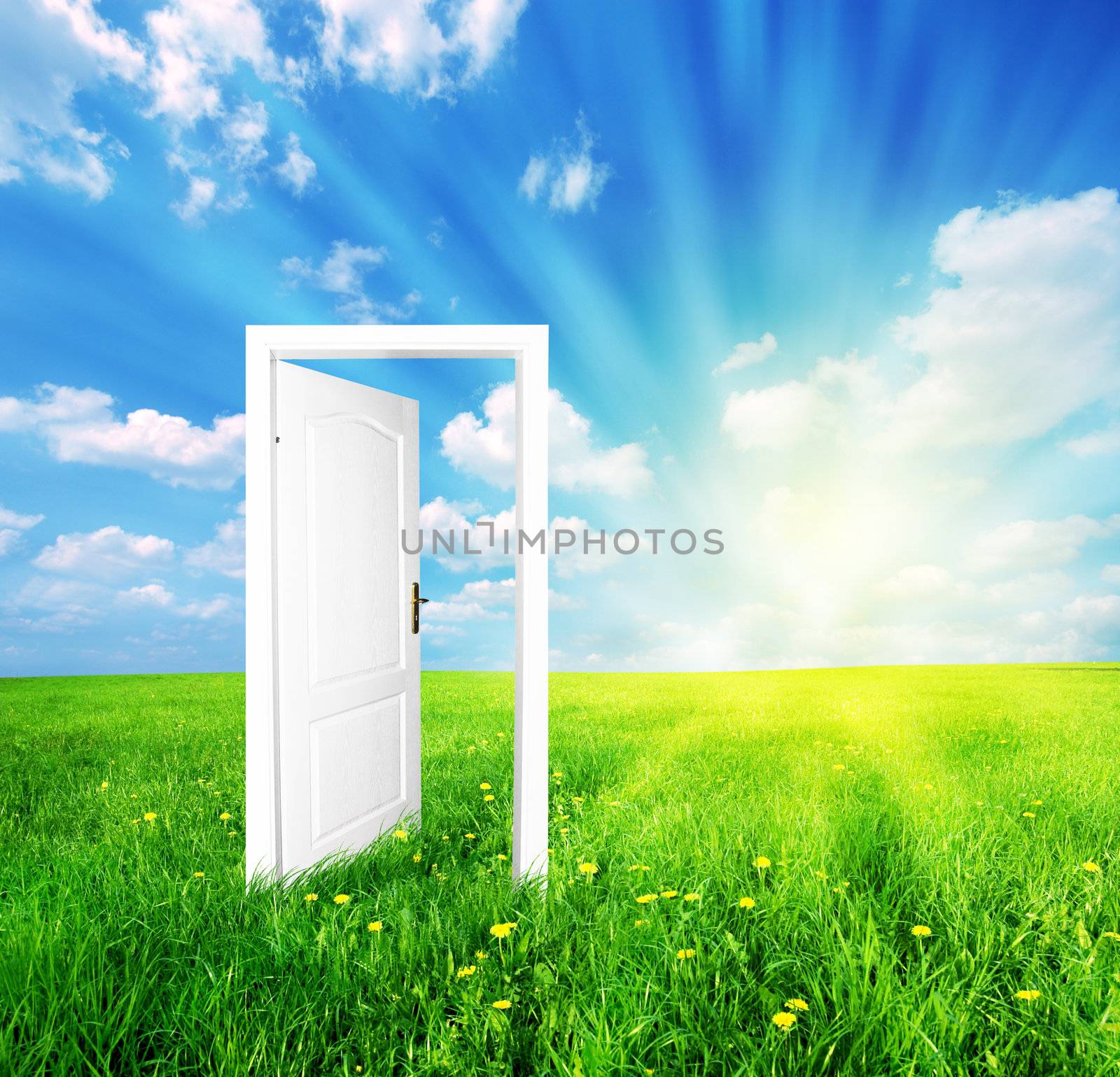 Door to new world by photocreo