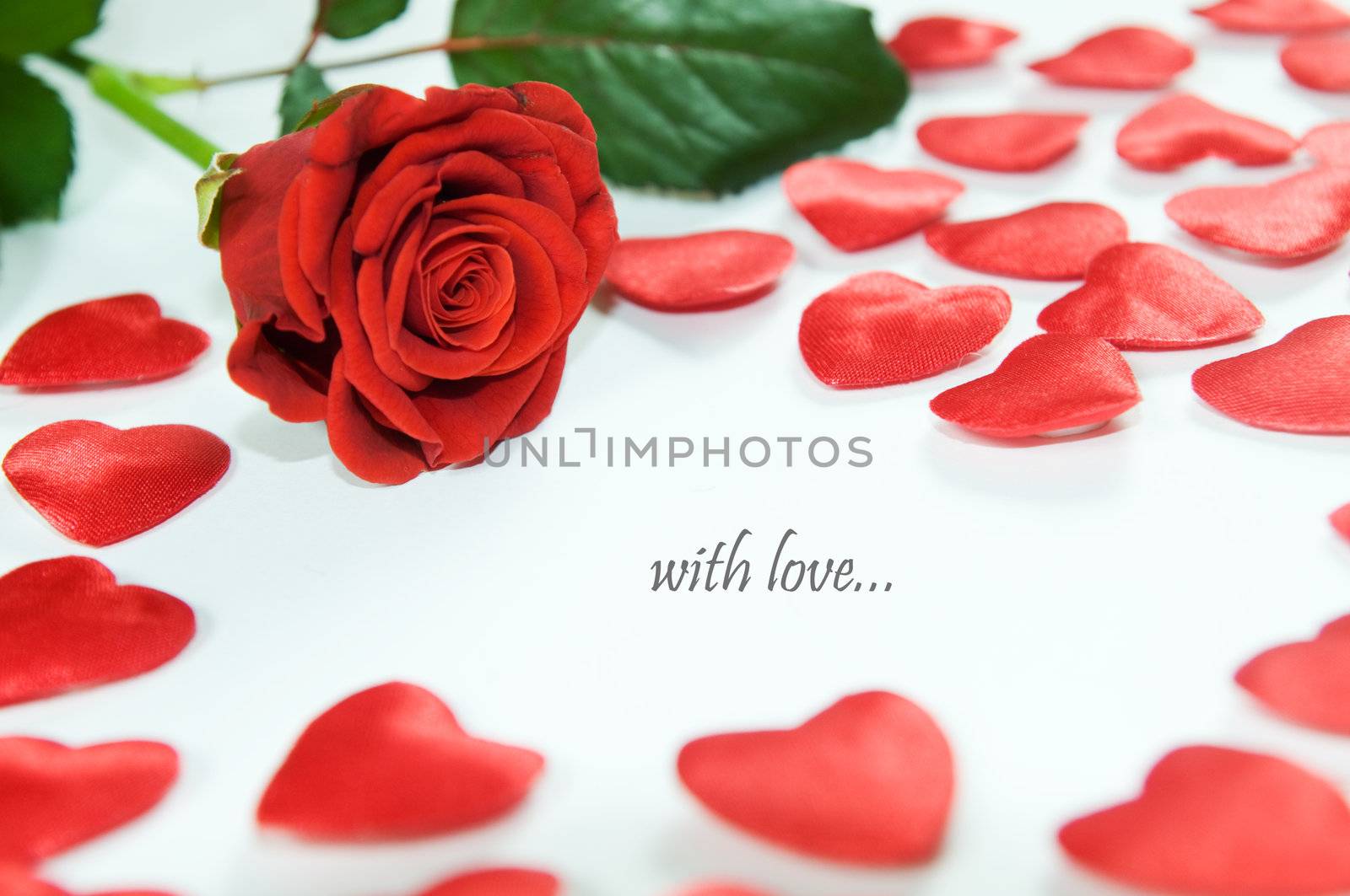 Red rose and little hears on white background. Space for your text 