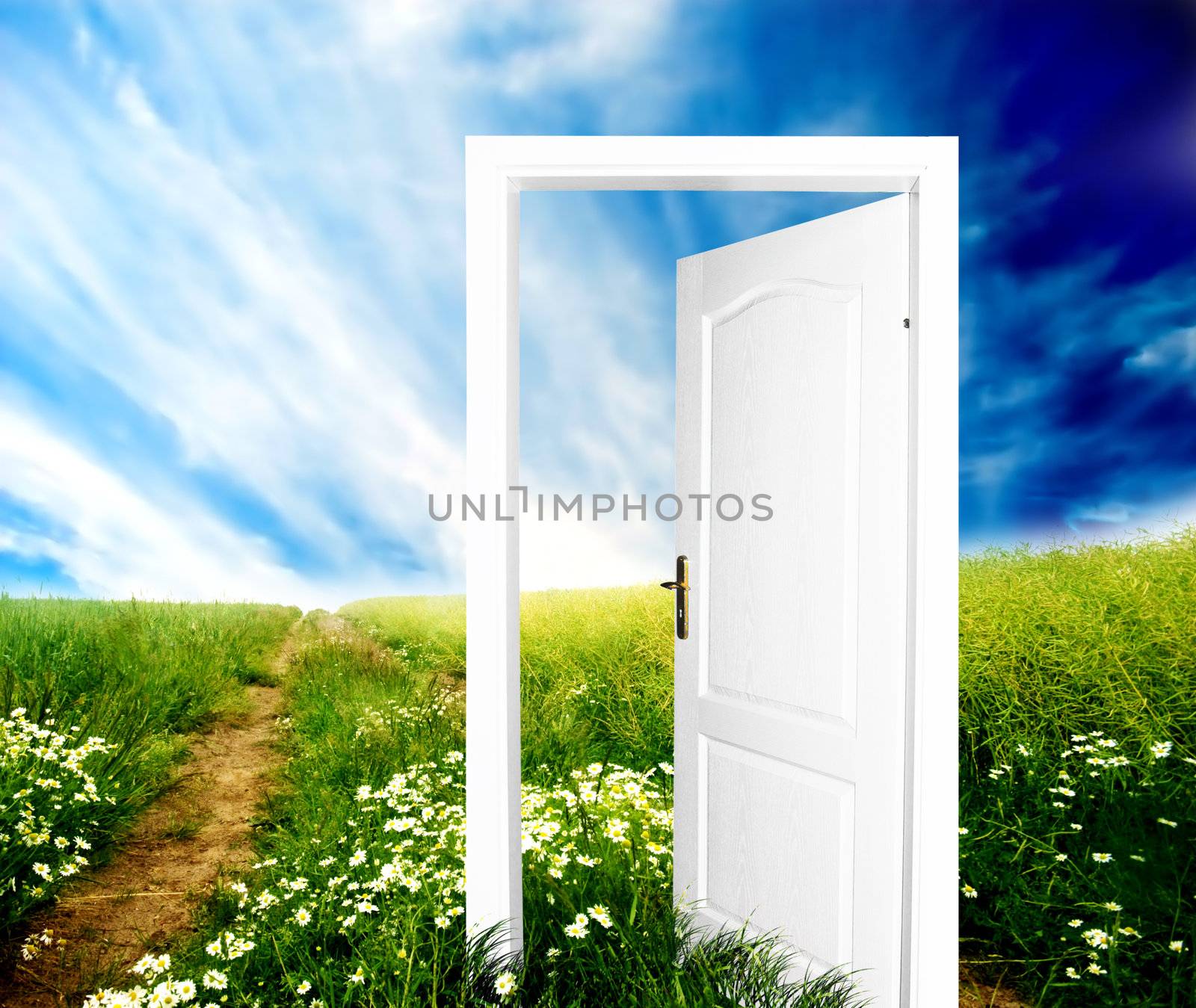 Door to new world by photocreo
