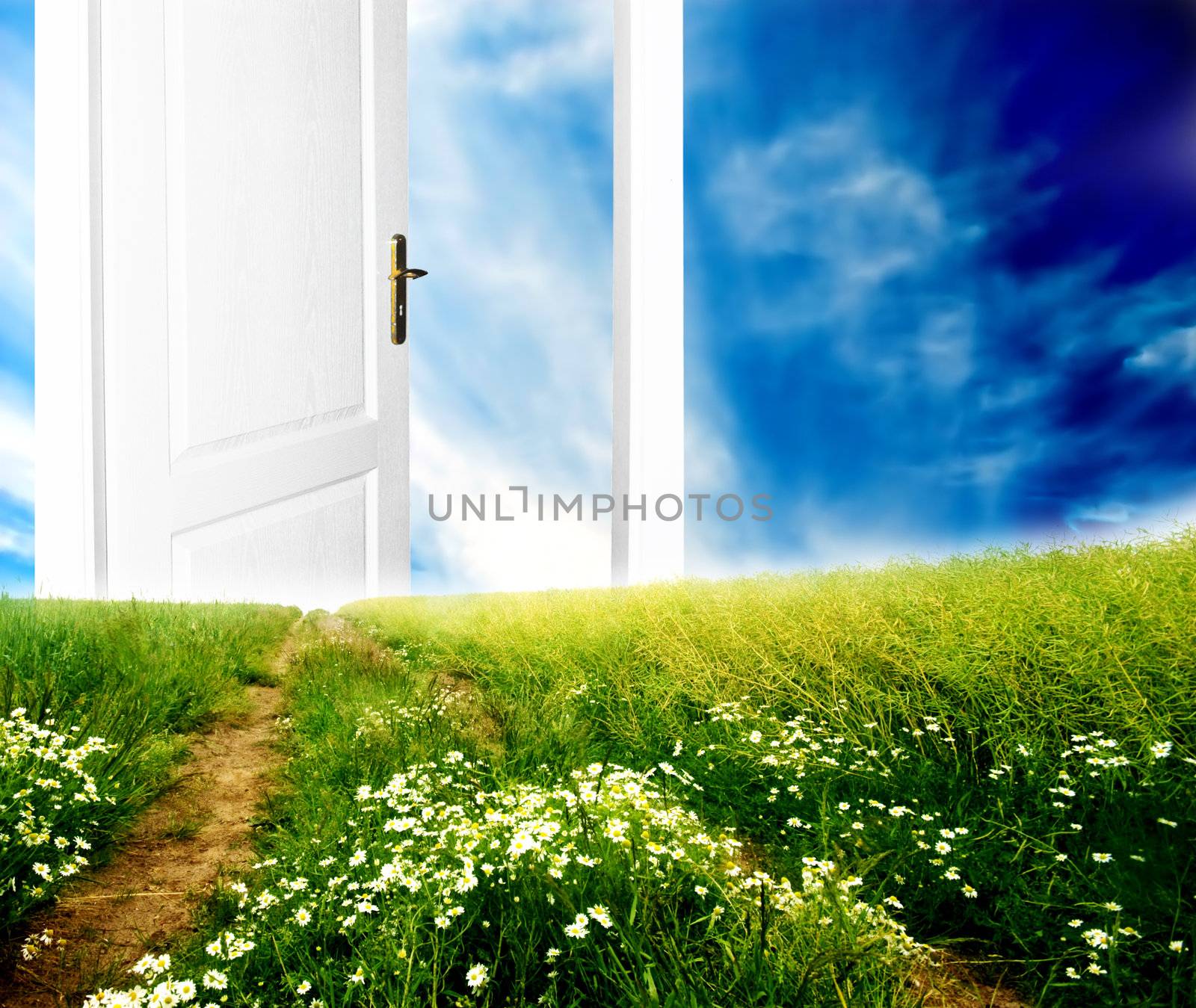 Door to new world. Colourful, bright, great quality.