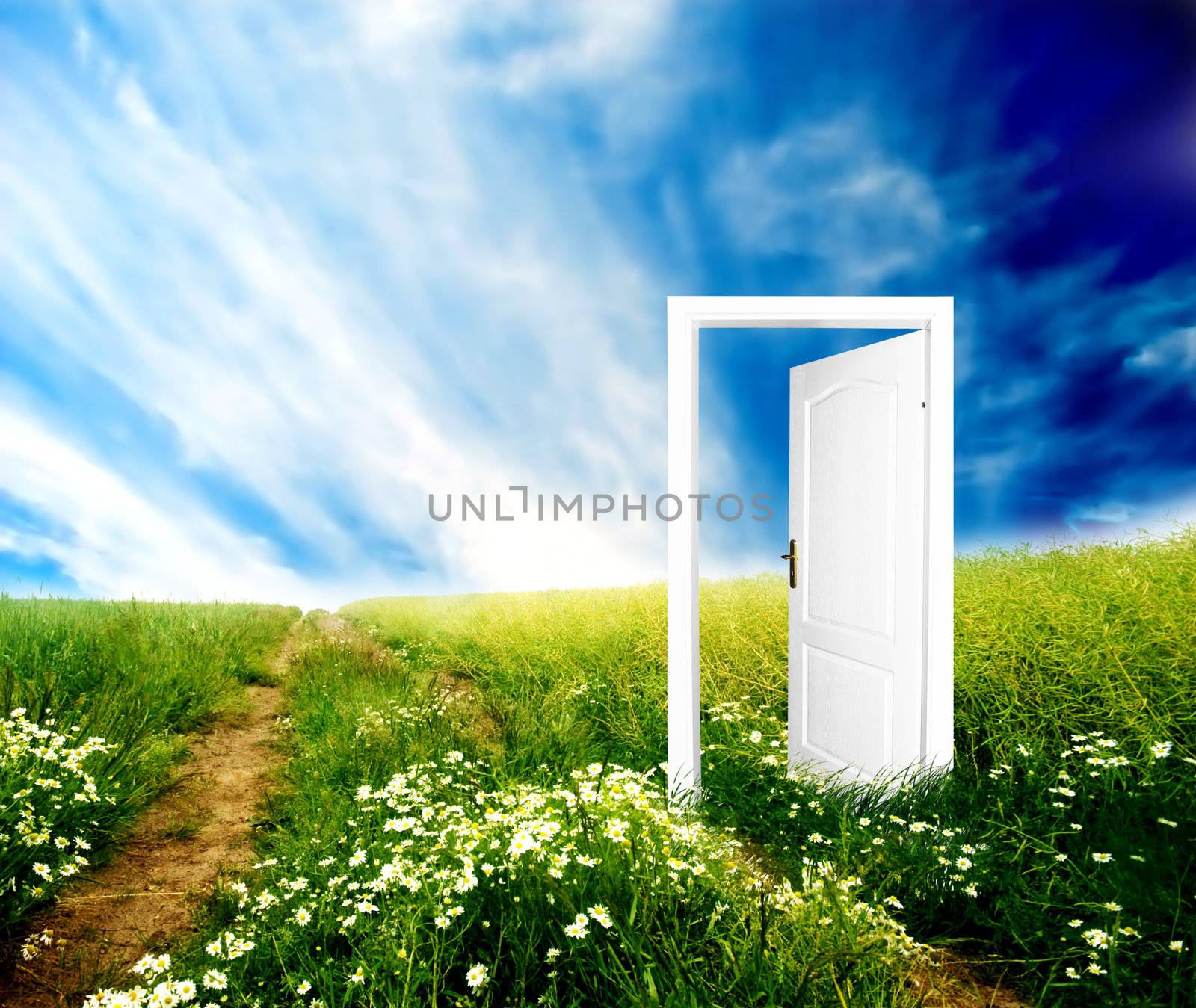 Door to new world by photocreo