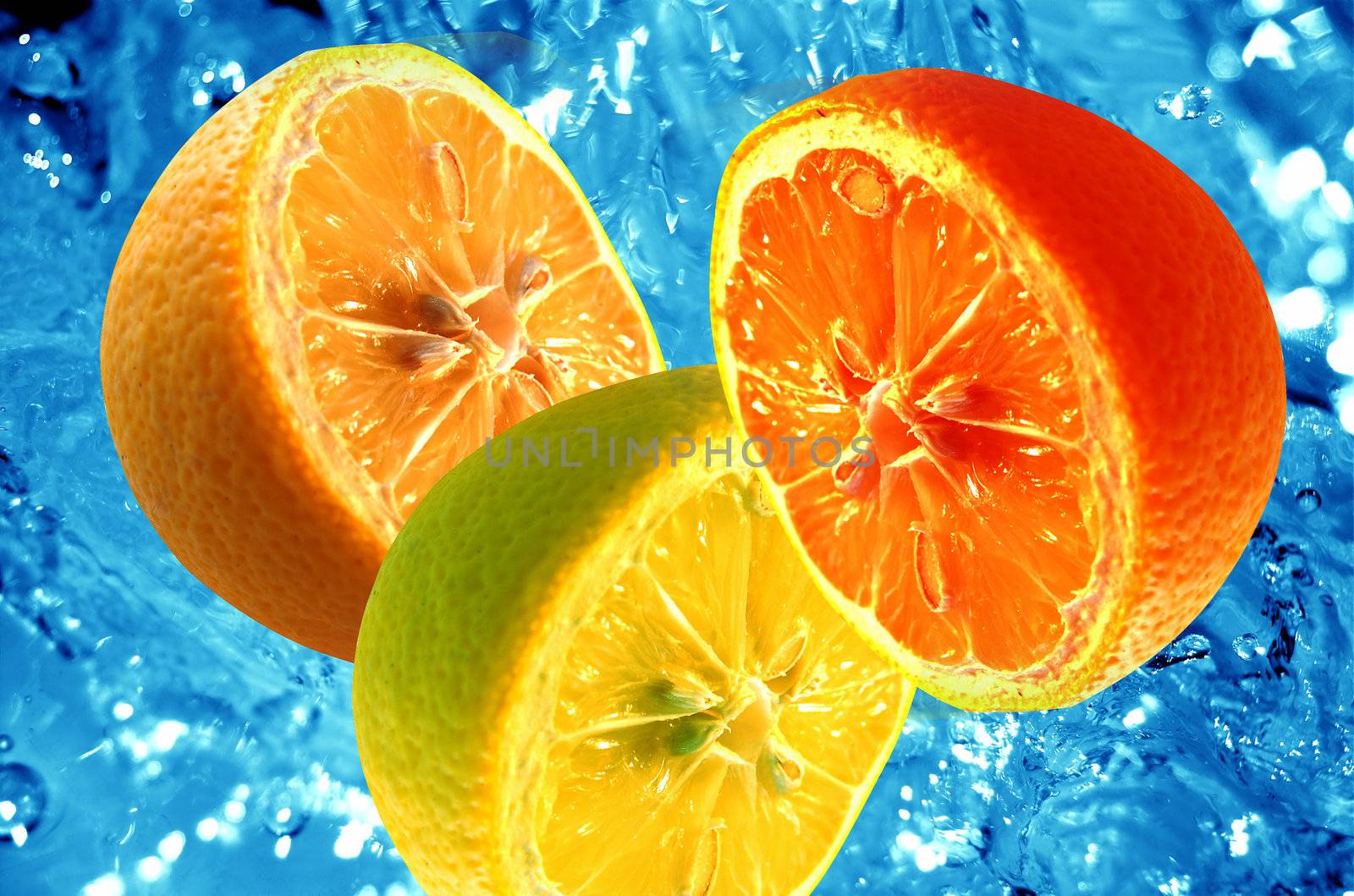 Fresh halves of citrus fruits on water background