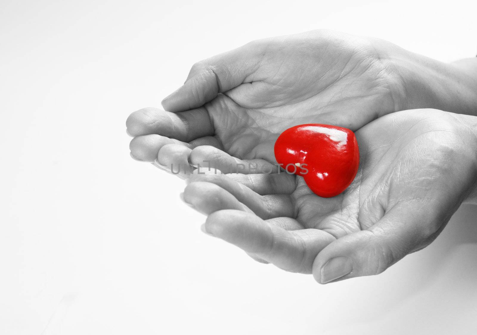 Heart in hands conceptual image. Love, care, health themes.