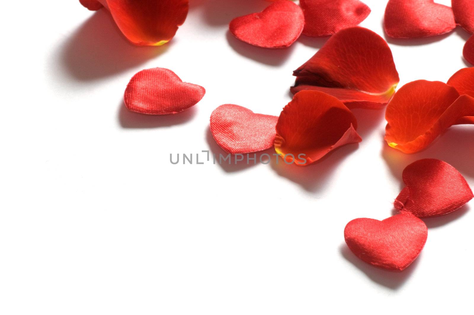Fresh rose petals and little hearts on white background
