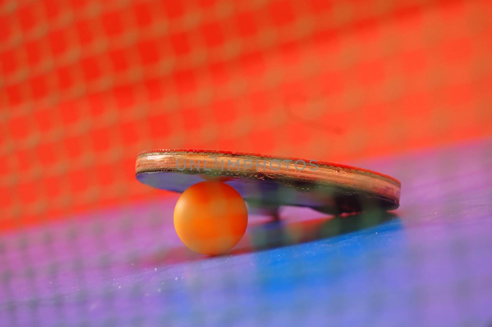 table tennis (ping pong) image