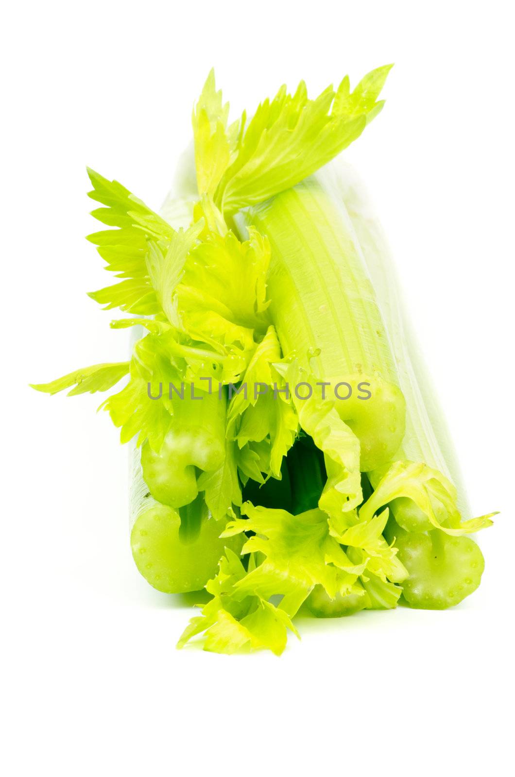 Bunch of Celery Stalks isolated on white background