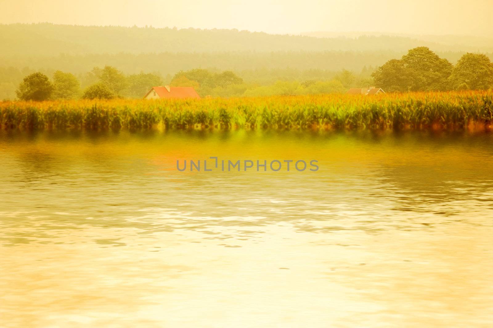 Pictursque rural scene. Looks like old painting