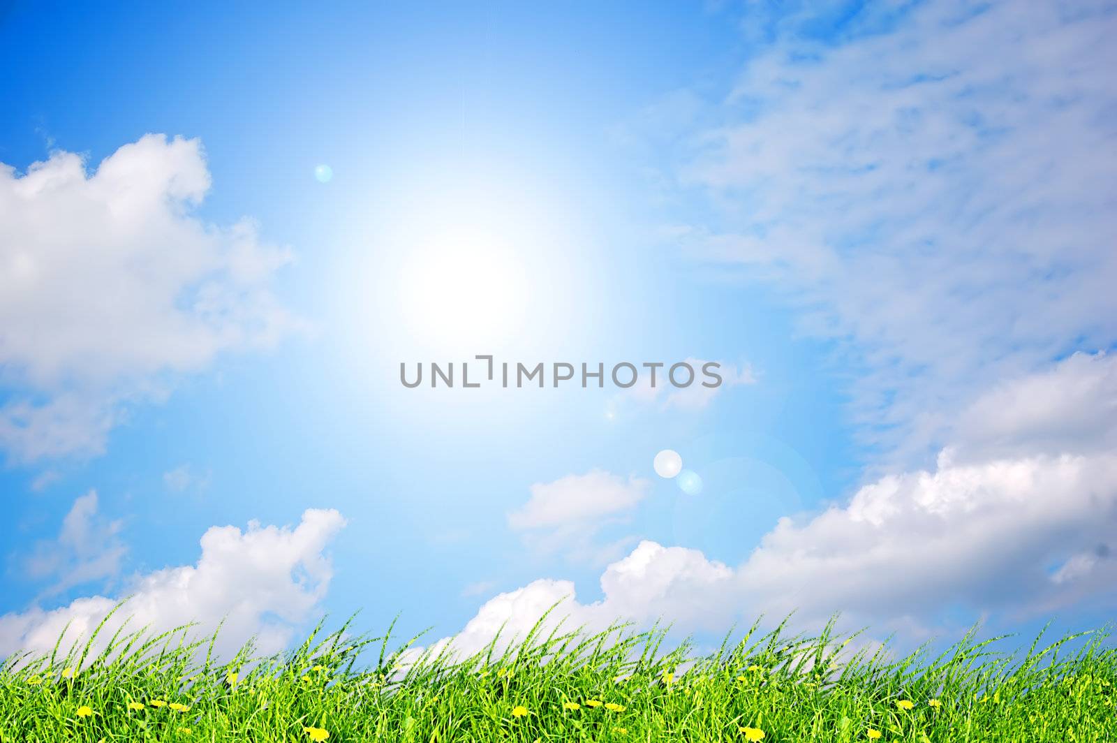 Fresh, clean summer landscape. Ideal as a background