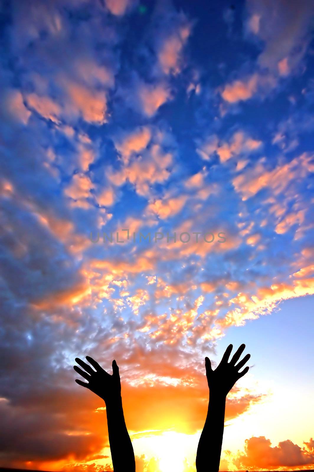 Hands up to the sky showing happiness by photocreo