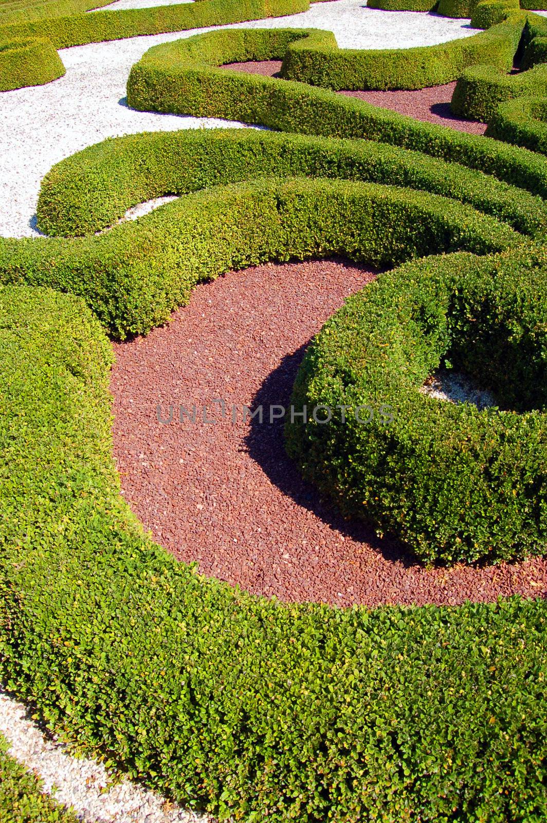 Well-preserved beautiful garden