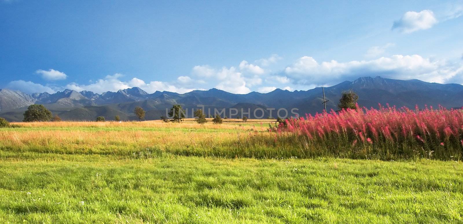 Mountains panorama by photocreo