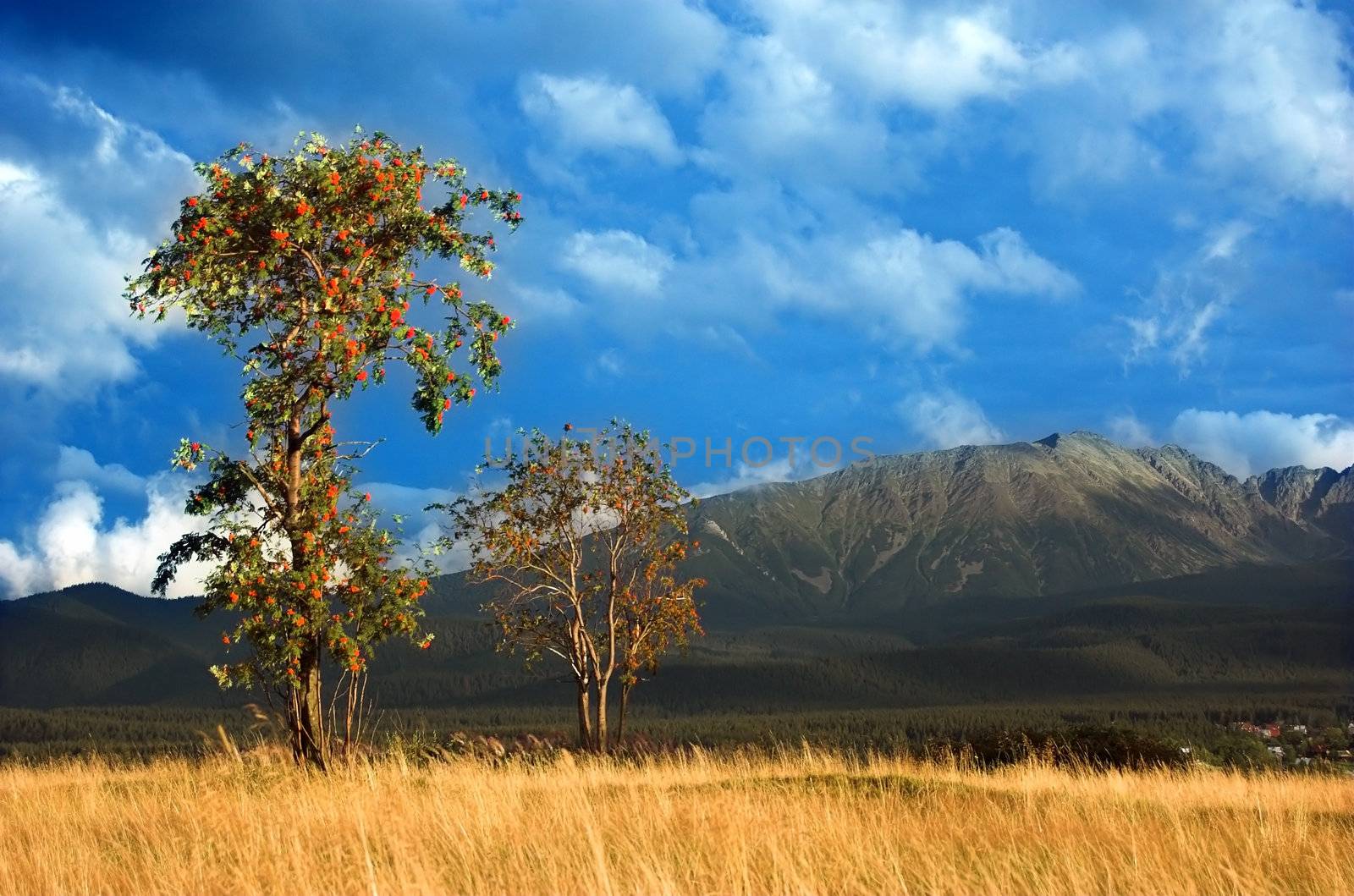 Tatra Mountains landscape