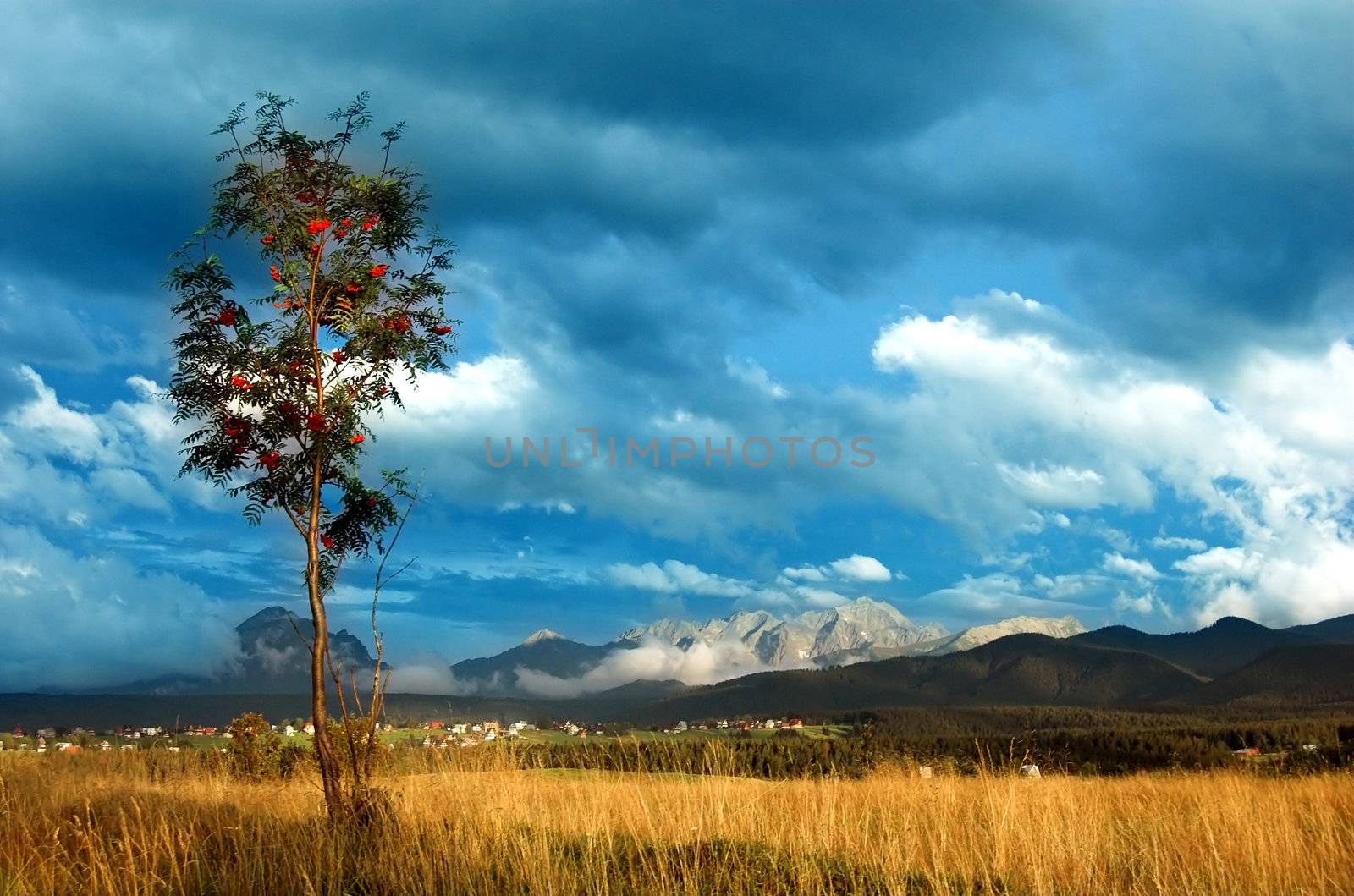 Mountains landscape by photocreo