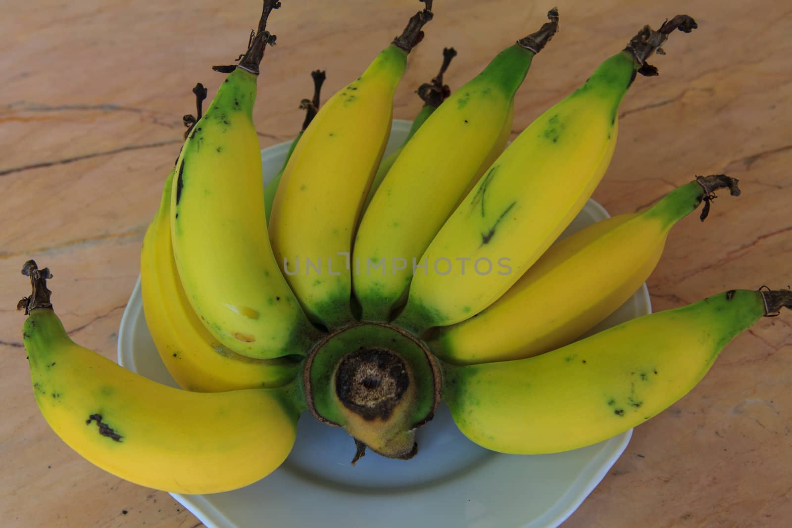 Fresh Bananas on white disk with light brown Background