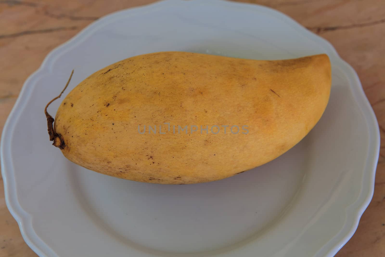 Fresh Mango on white disk with light brown Background