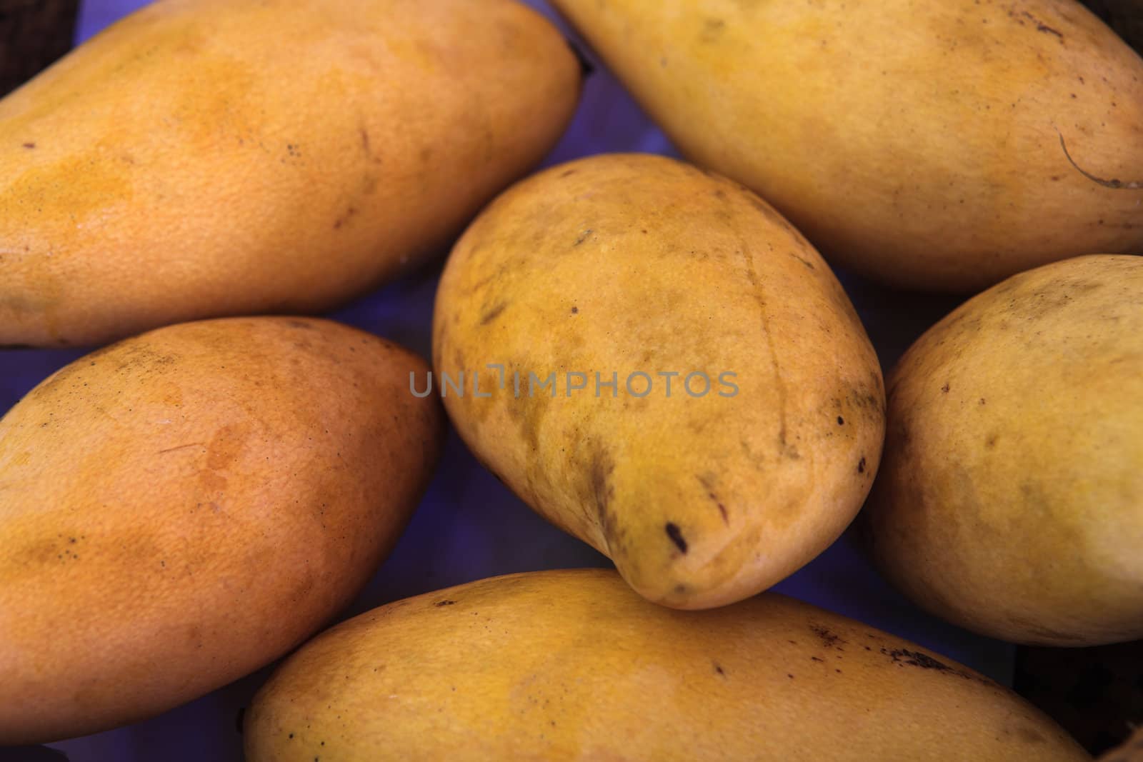 Fresh Mango by thanomphong