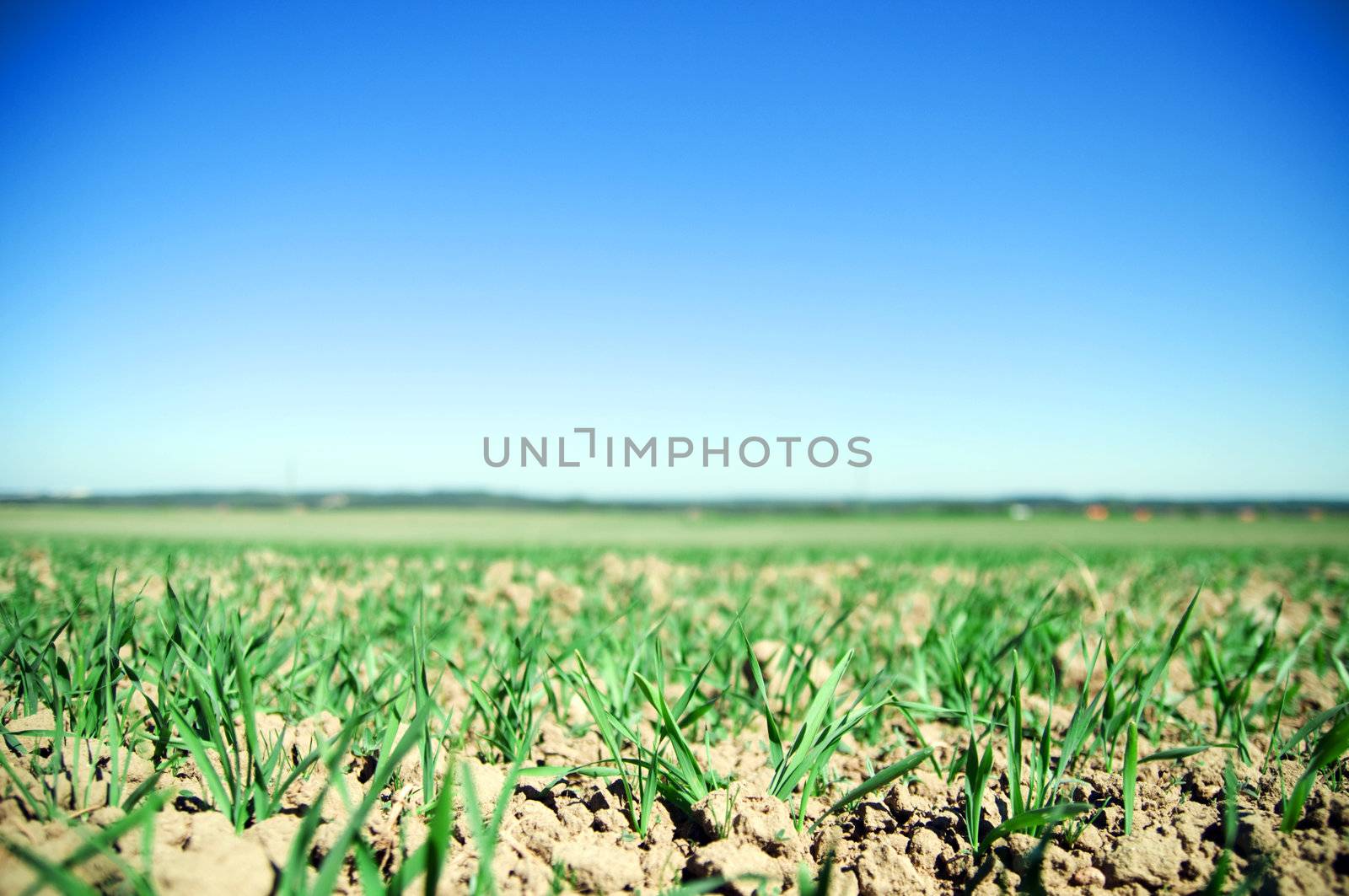 Plain field lanscape of agricultural fertile ground