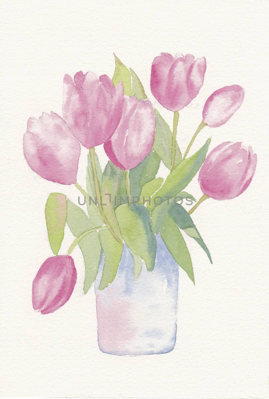 hand painted watercolor of a bunch of tulips by paddythegolfer