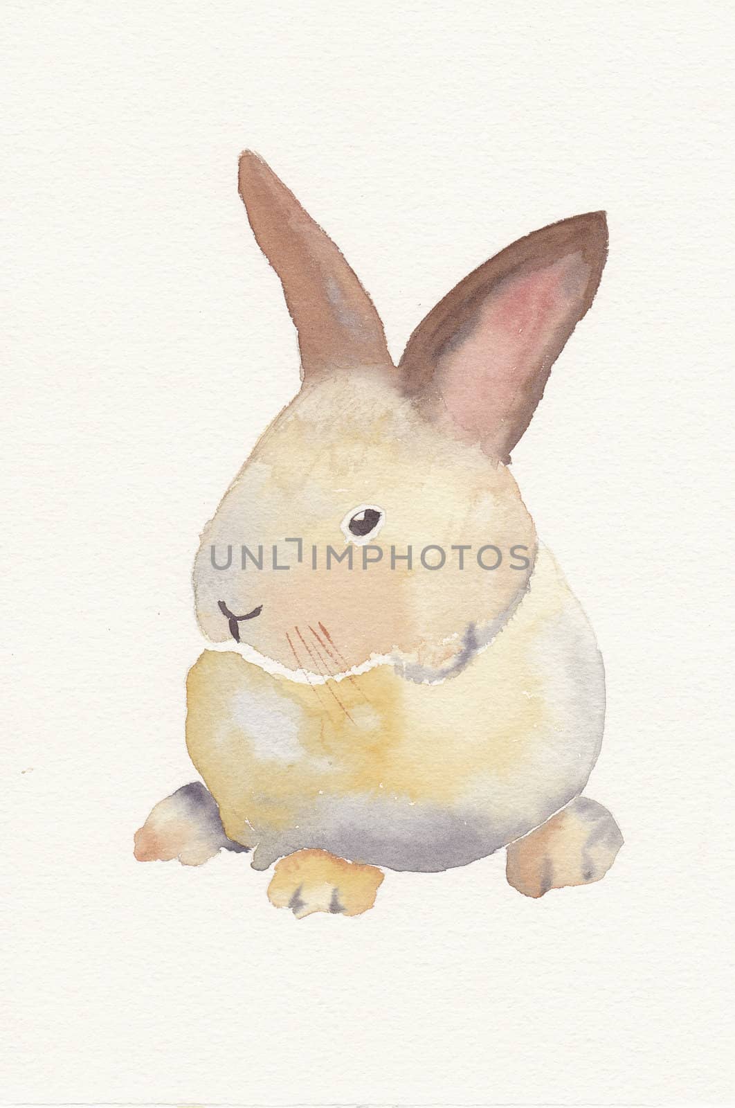 hand painted watercolor of a baby rabbit