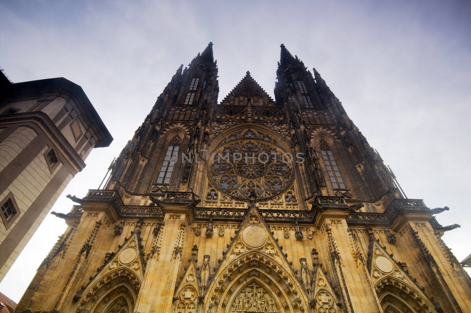 Prague. View of St. Vitus Cathedral