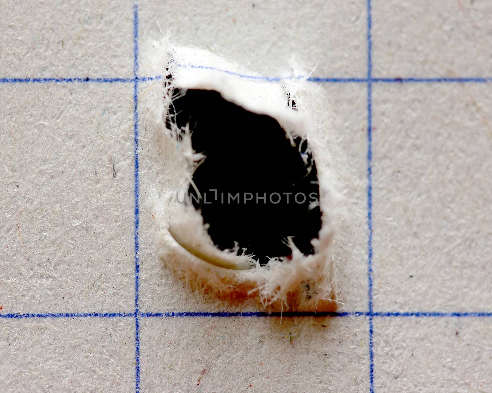 Notebook with hole. Background ready to use!