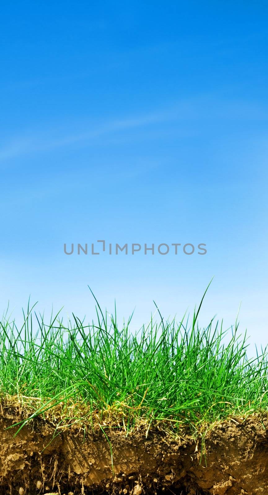 Ground, grass, sky. Cross section of three elements of nature. Vertical