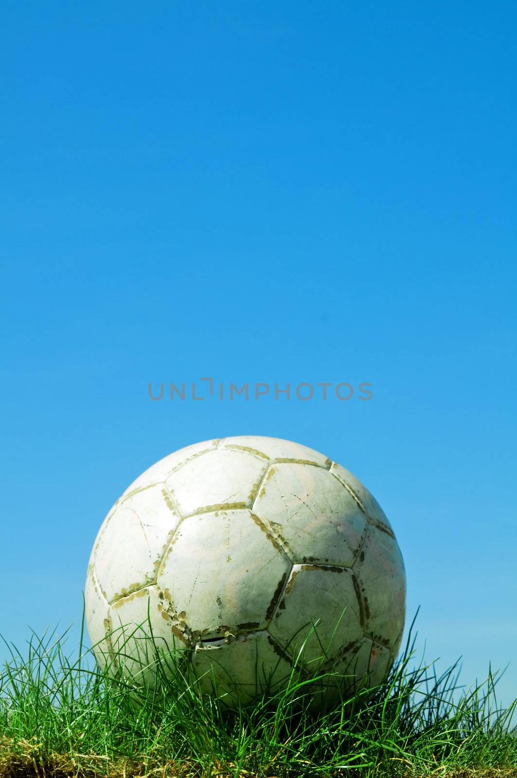 Soccer ball standing on grass